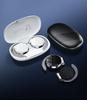 F2 TWS Sports Ear-Hook Bluetooth 5.2 Earphones, Noise Cancelling, Low Latency