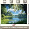2D plane tranquil forest lake scenery background fabric green trees on the calm water surface polyester fiber