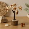 Oggetti decorativi – Oggettistica con elementi naturali