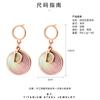 D Word Fritillary Earrings Stainless Steel Gold-Plated Round Pendant Niche Design Big-Name Wind Advanced Titanium Steel Earrings
