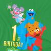 Sesame Street Unisex Adult 1st Birthday T-Shirt