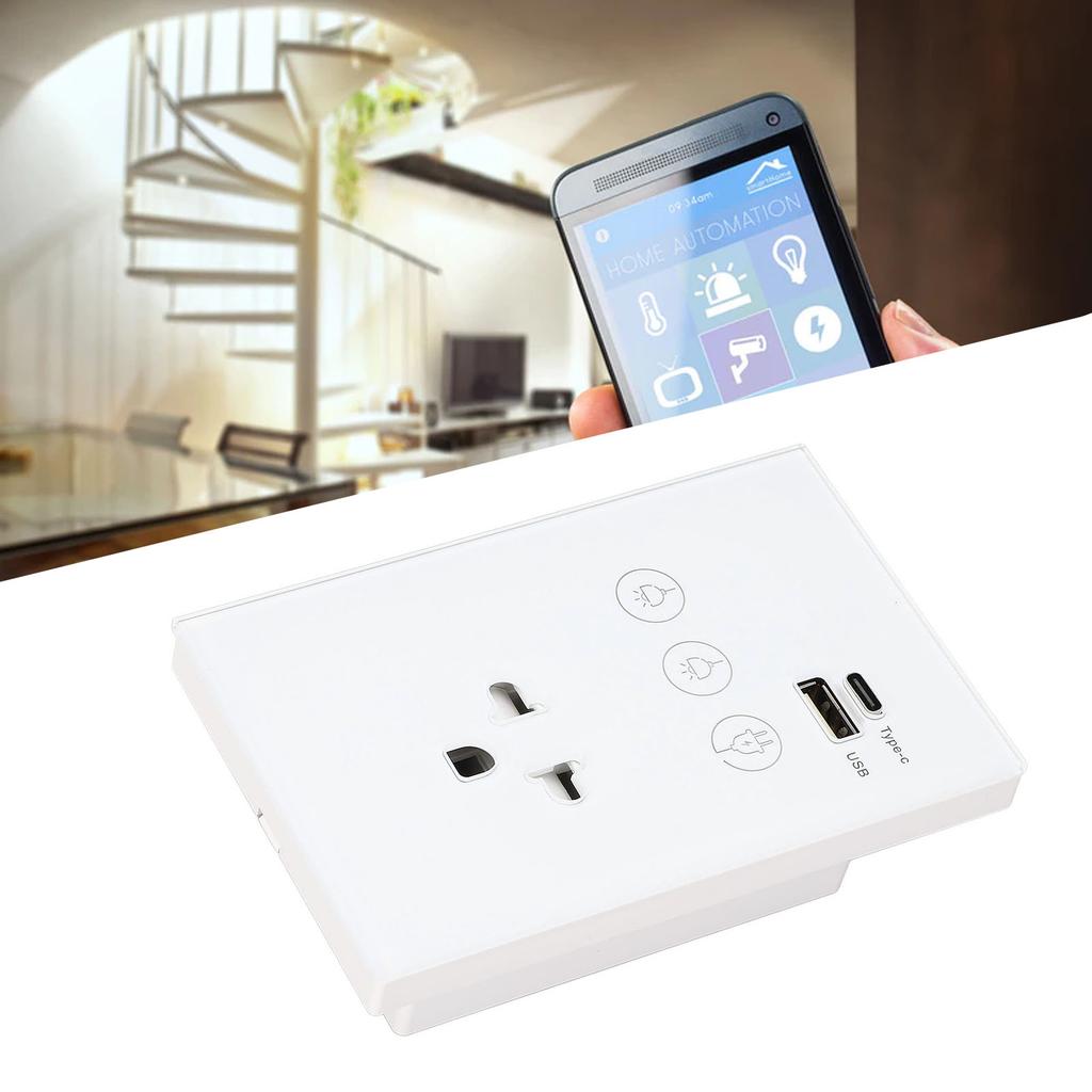 Smart Wall Outlet 2.4G WiFi Touch Light Voice Remote Control Smart Plug with USB and Type C Port for