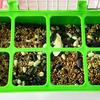 24TE Pet Birds Feeder for Lovebirds Finch Canary Hamster Poultry Feeder Treat Feeding Containers