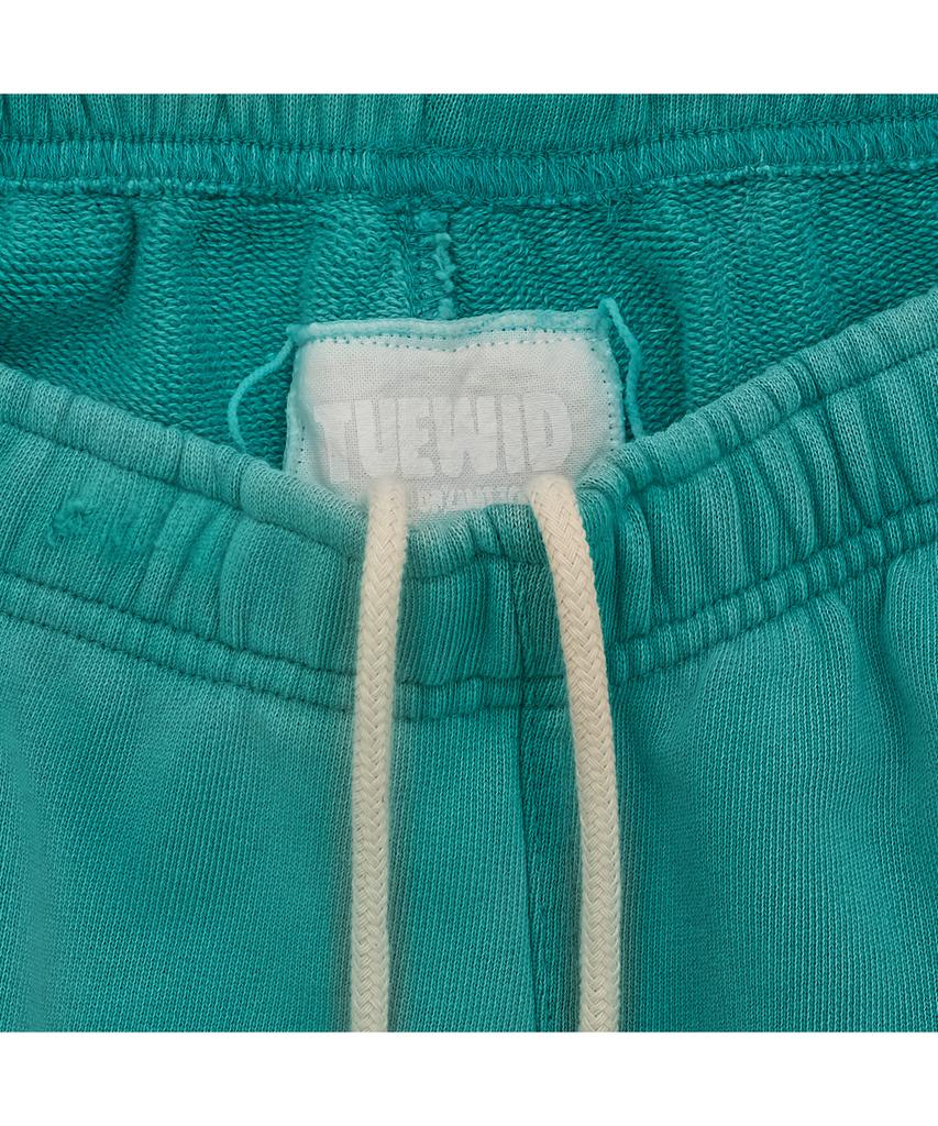 TUEWID Tuewid Classic Embroidery Set Up Pants In Turquoise
