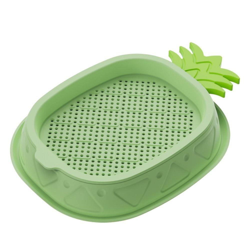 Seed Sprouting Trays Planting Hydroponics Boxes Soilless Hydroponic Cat Grass Case Pet Supplies