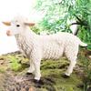 Cross-Border Animal Toy Set: Sheep, Cow, Horse, Donkey, Goat, Poultry Plastic Models