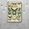 butterfly Decor Vintage Metal Signs Tin Signs Captain Poster Decor for Bar Pub Club Man Cave Wall Decoration