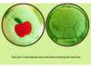 Adorable Green Apple Turtle Plush Pillow - Soft, Cute Stuffed Animal Gift