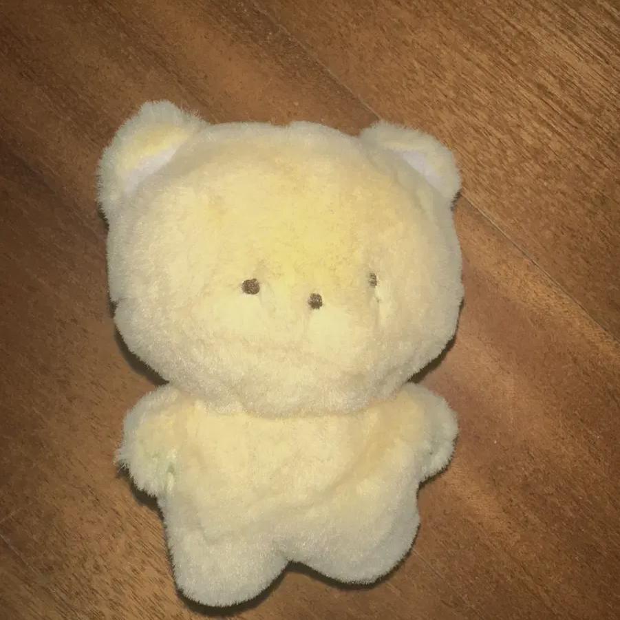 

Seventeen Сынгуан Сынгуан Кукла Пудель