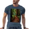Walk Through Redwoods Tshirt Running Perforunisexce Short Sleeve Tee