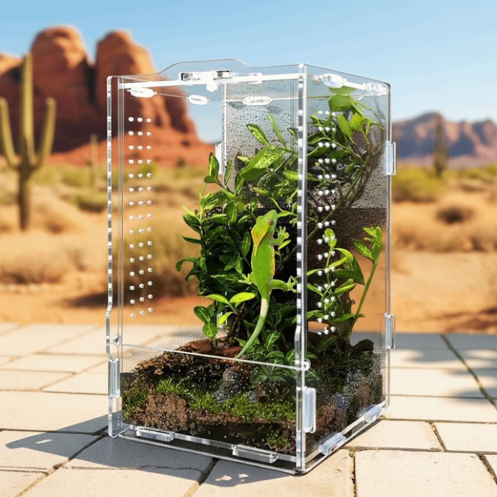 Transparente Reptilien-Futterbox Belüftet Ausbruchsicher Springspinnen-Terrarium Schnallenverschluss Eidechsengehege Für Eidechse Spinne