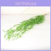 Rowleyanus Senecio Wall Hanging Basket Decoration Plastic Vine Flower
