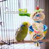 Pet Bird Toy Parrot Interactive Chew Wooden Circular Pattan Balls Hanging Cage Toys