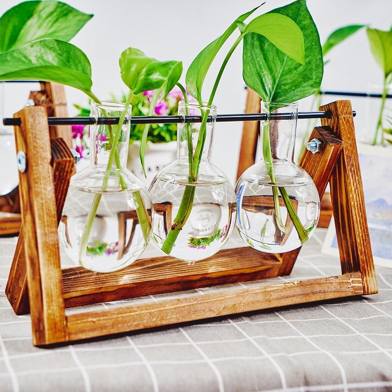 Hydroponic Vase Glass Transparent with Wooden Stand Creative Simple Desktop Green Plant Cultivation Container Home Decoration Or