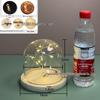 Luminous Sea Urchin Glass Dome with Preserved Flowers and String Lights