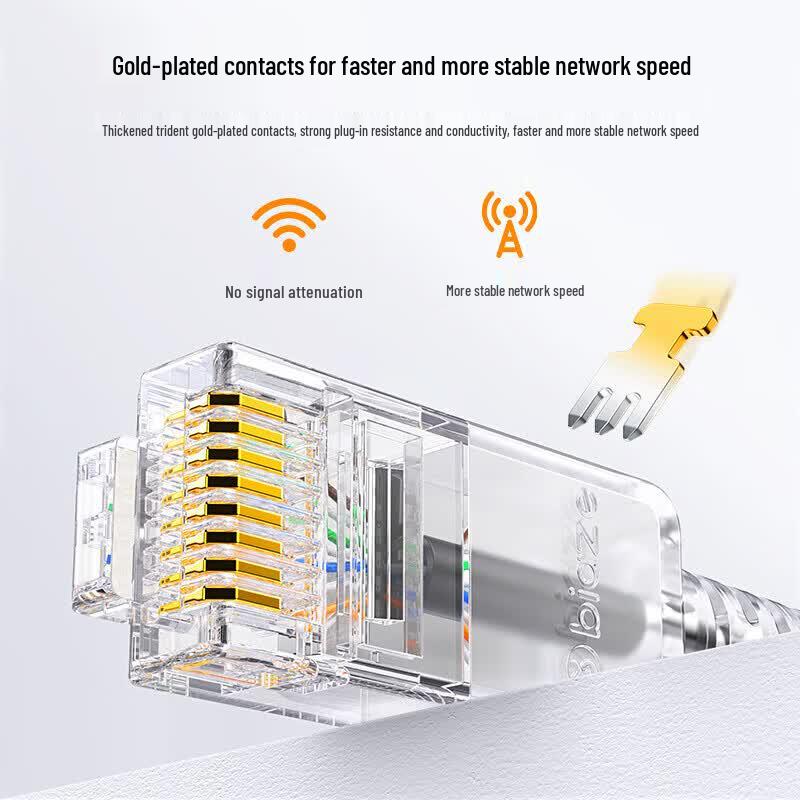 BIAZE CAT6A 10 Gigabit Ethernet Patch Cable