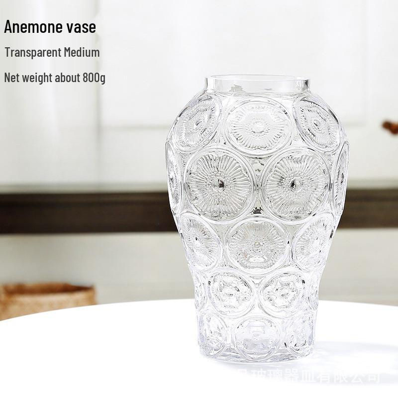 Nordic Cone-Shaped Transparent Glass Vase for Lucky Bamboo and Flowers