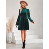Samtkleid für Damen Winter Casual Hoher Hals Samt Einfarbig Schlanke Taille Kleid Herbst Winter Promi Partykleider