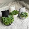Mini Cacti Potted Plant Cat-Shaped Succulents Planter Pot Cute Small Flowerpot  Desktop Ornament
