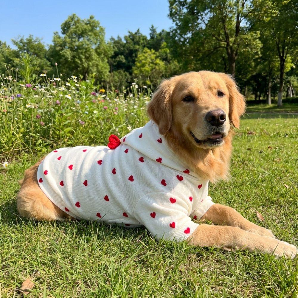 Warm Dog Striped Hooded Hoodie Heart Pattern Comfortable Puppy Hooded Jacket Breathable with Hat Cat Sweater Spring Autumn