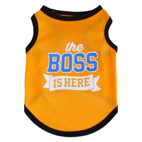 

Жилет для домашних животных, милая летняя футболка с буквенным принтом для собак, уличная ультратонкая дышащая одежда для двуногих домашних животных для маленьких домашних животных XS оранжевый