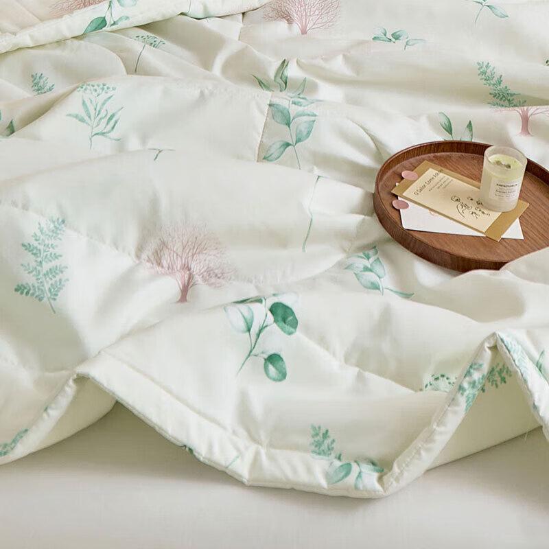 Hengyuanxiang Spring Vitality Summer AC Quilt