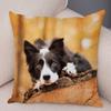 Cute Scottish Border Collie Pillowcase Dog Print  Decor Pet Animal Cushion Cover Sofa