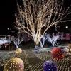 Jucheng Spring Festival Warm White Fishing Net String Lights