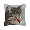 Tabby Cat Closeup Cushion Covers Chair Living Room Pillowcase Cozy Zipper Sofa Pillow Covers Bedroom Indoor Home Decor