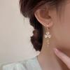 Fashionable Earrings With Light Luxury Tassel Earrings