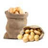 2 buc 70/80/100 cm sac de cartofi din pânză de pânză Geantă de curse reutilizabilă, rezistentă, de mare capacitate, din iută naturală pentru cartofi, pentru copii, adulți, în aer liber, pentru curte, pentru gazon.