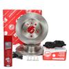 Rear Brake Discs + Pads 201002090