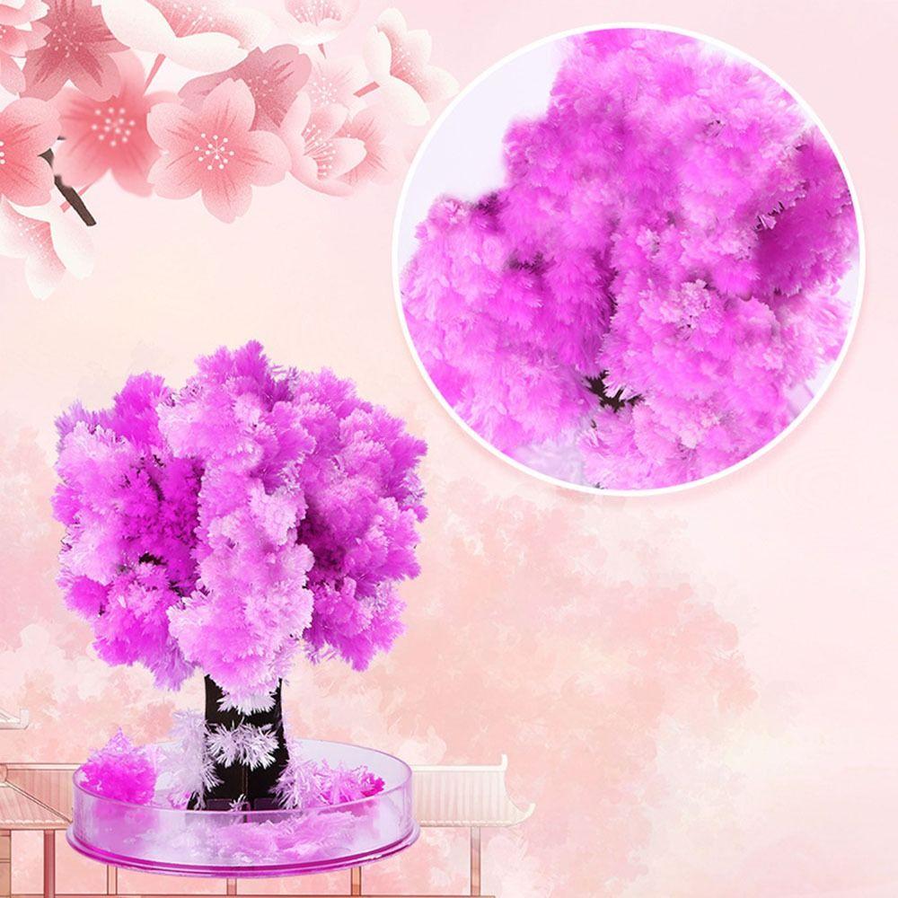 Pom de Crăciun în creștere magică DIY distracție jucărie cadou de Crăciun pentru adulți, copii, acasă, festival, petrecere, recuzită, mini brad