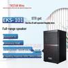 TAKSTAR EKS-101 Professional Full-Range Speaker System