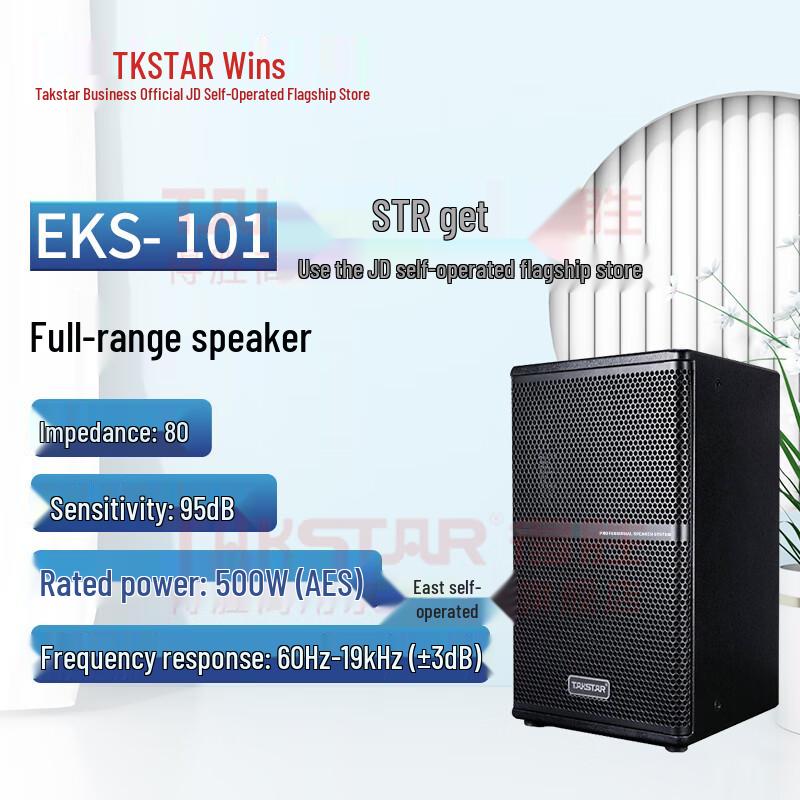 TAKSTAR EKS-101 Professional Full-Range Speaker System