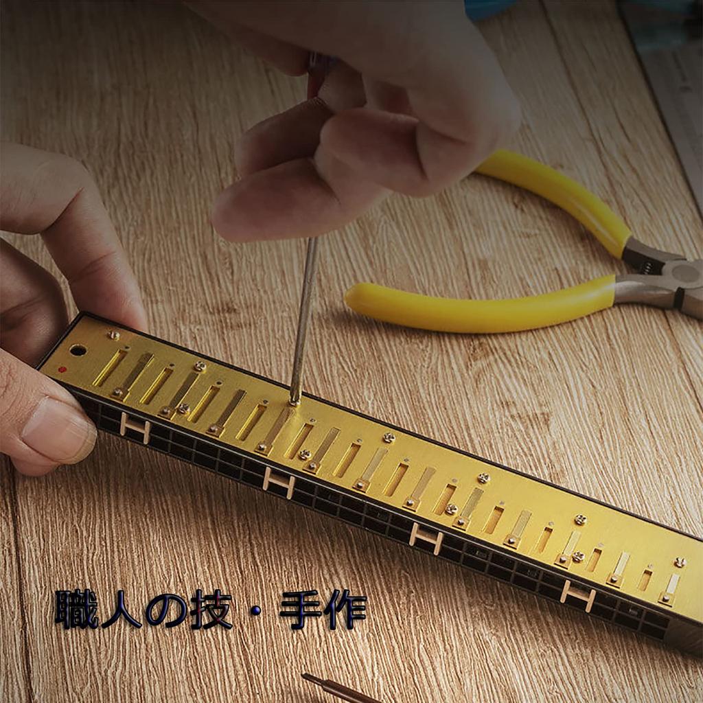 QIMEI Blues 28 Stainless C Set Case for Beginners and Advanced Players 24 Harmonica, 10, 24, Holes, Steel, Key, Airtight, (Gold, Holes)