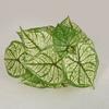 Artificial Green Plant Easy Care Realistic Not Wither Heart Shape Simulation Green