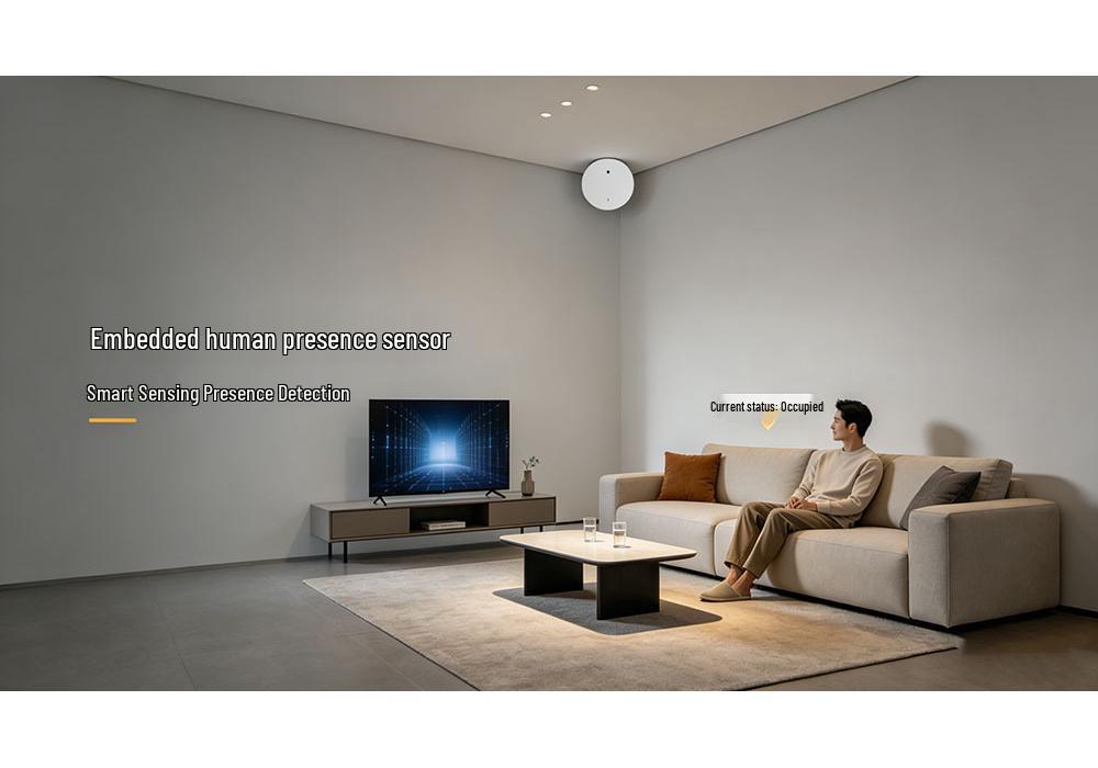 Zigbee/WiFi Ceiling-Mounted Millimeter Wave Radar Sensor for Smart Home Integration