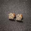 Boho Stainless Steel Earrings Exquisite Maple Leaf Stud Earrings Women Plant Amulet Jewelry brincos para as mulheres
