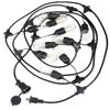 Outdoor Waterproof Solar LED G50 Bulb String Lights