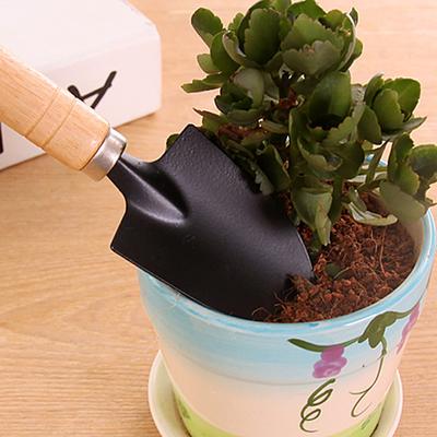 Potted Spatula Grow Flowers Grow Flowers Gardening Tools Grow Succulent Tools Set Mini Three-piece Household Shovel