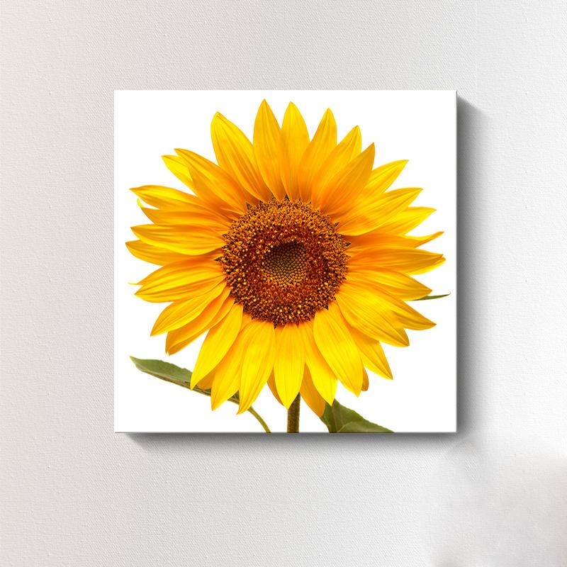Moderne Sonnenblumen-Leinwandmalerei, nordische Landschaft, HD-Bilder, Blumenplakate und -drucke, Wandkunst, Bilder, Wanddekoration, kein Rahmen