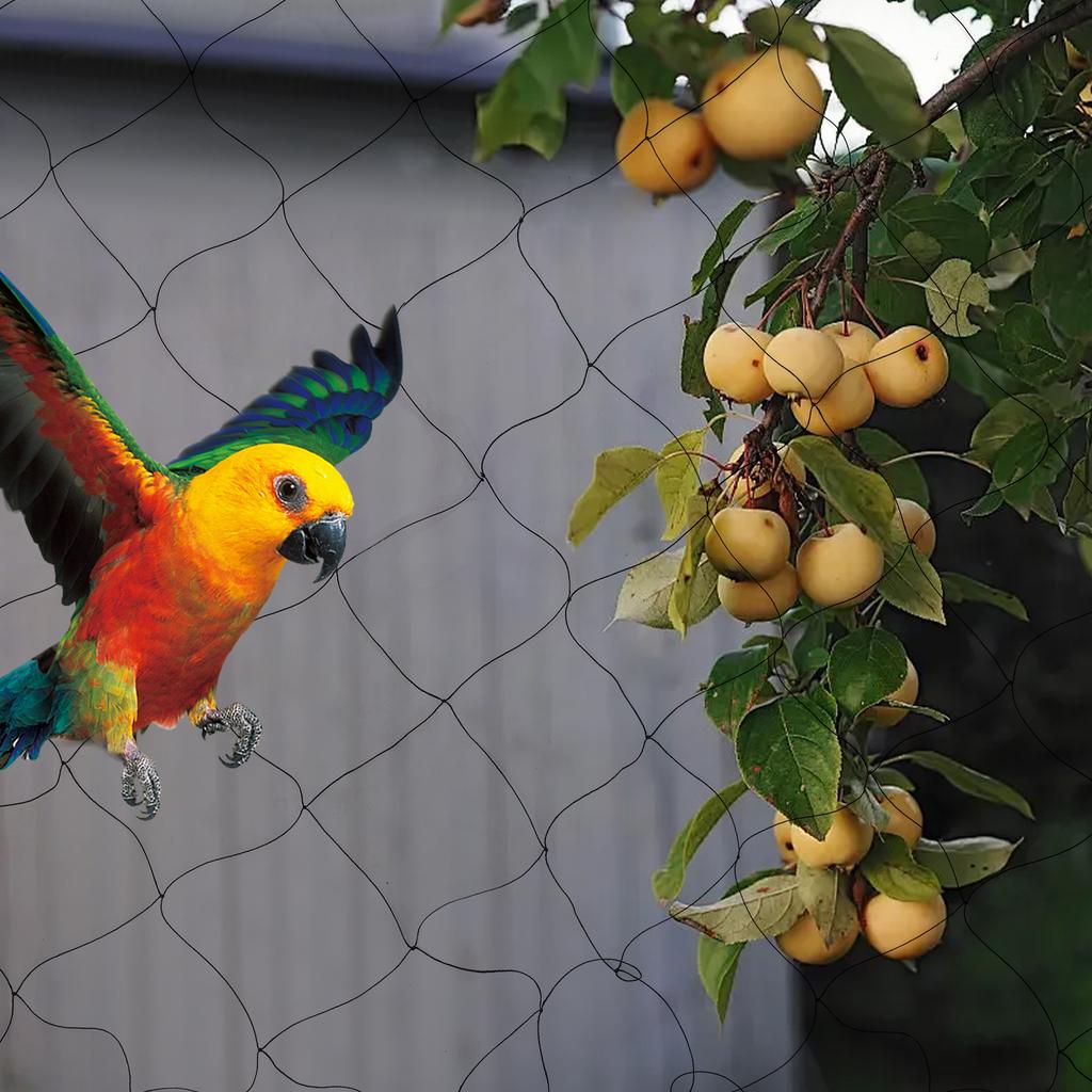 Bymaocar 100"X50" Nylon Netting for Bird Poultry Aviary Anti Bird Mesh Collect Leaves Net Practical & Secure Nautical Game Décor