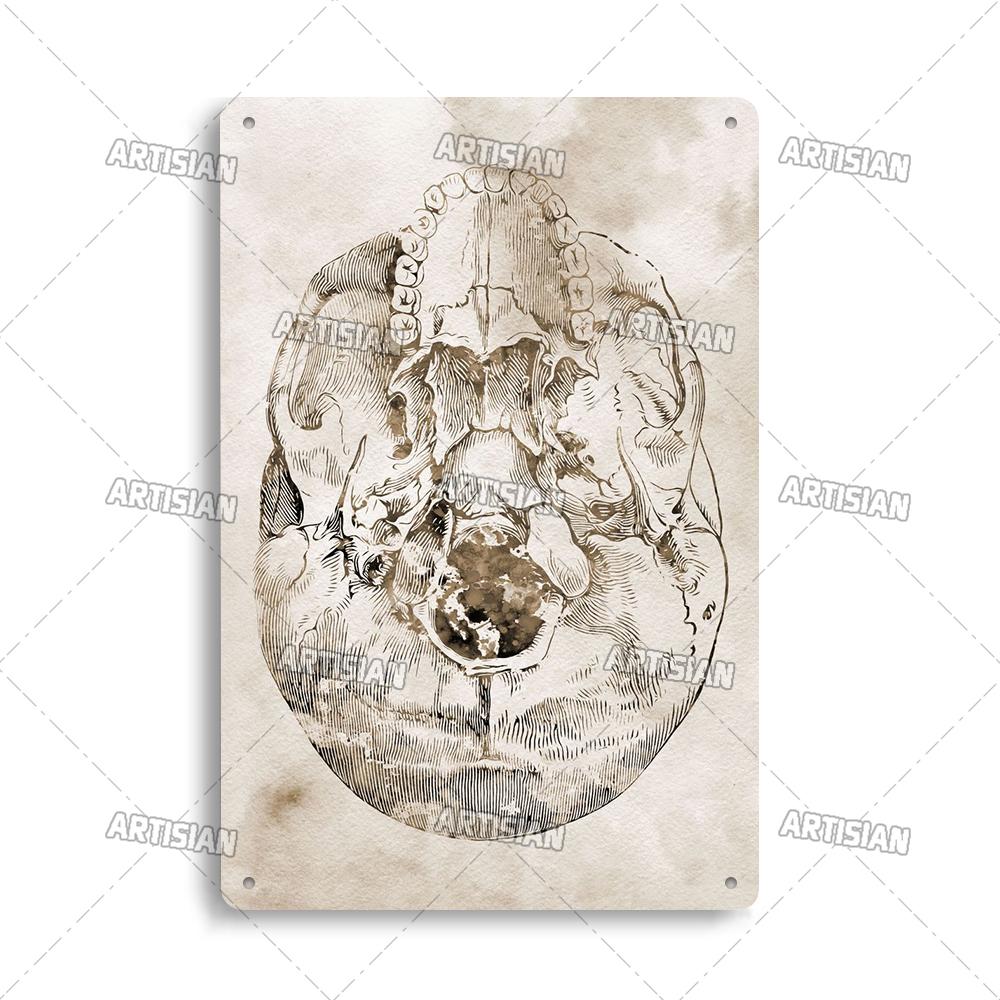 Placca Metallica Artigianale Clinica Dentista Cartello in Latta Anatomia Piatto Decorativo Medico Ospedale Chirurgia Dente Organo Ossa Nervo Cervello