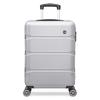 Classic Business Spinner Luggage