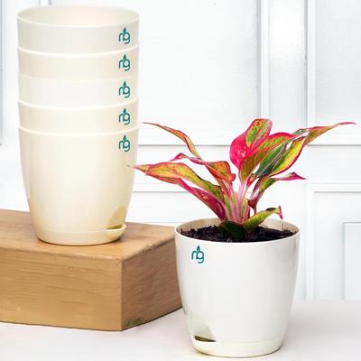 Conjunto de 6 Vasos Autoirrigáveis para Flores e Plantas | Vasos de Plástico para Plantas | Vasos Floreiras para Casa, Sala de Estar Interior, Jardim