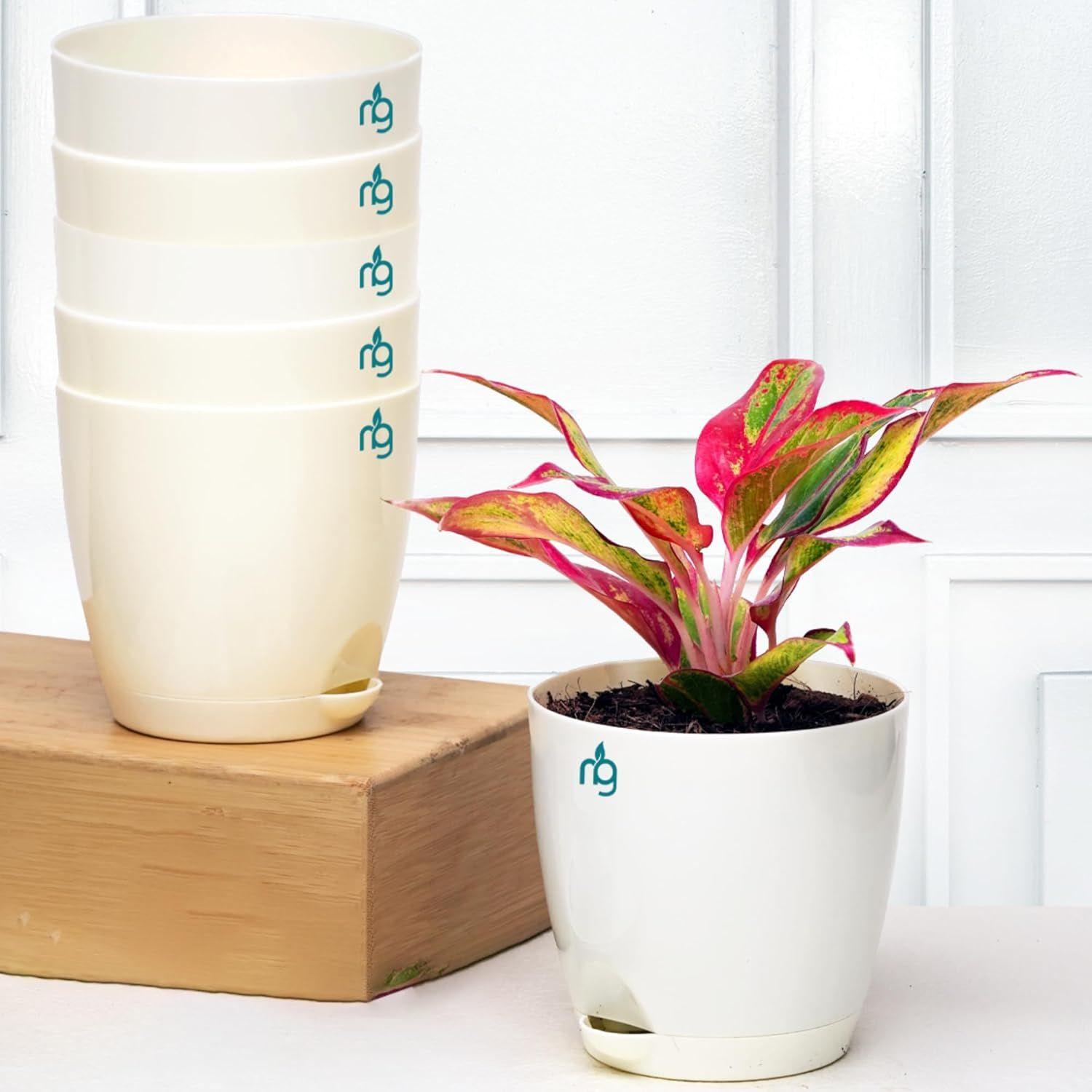 

Combo of 6 Self Watering Flower Pots for Plants | Plastic Plant Pots | Planter Pots for Home, Indoor Living Room,Garden