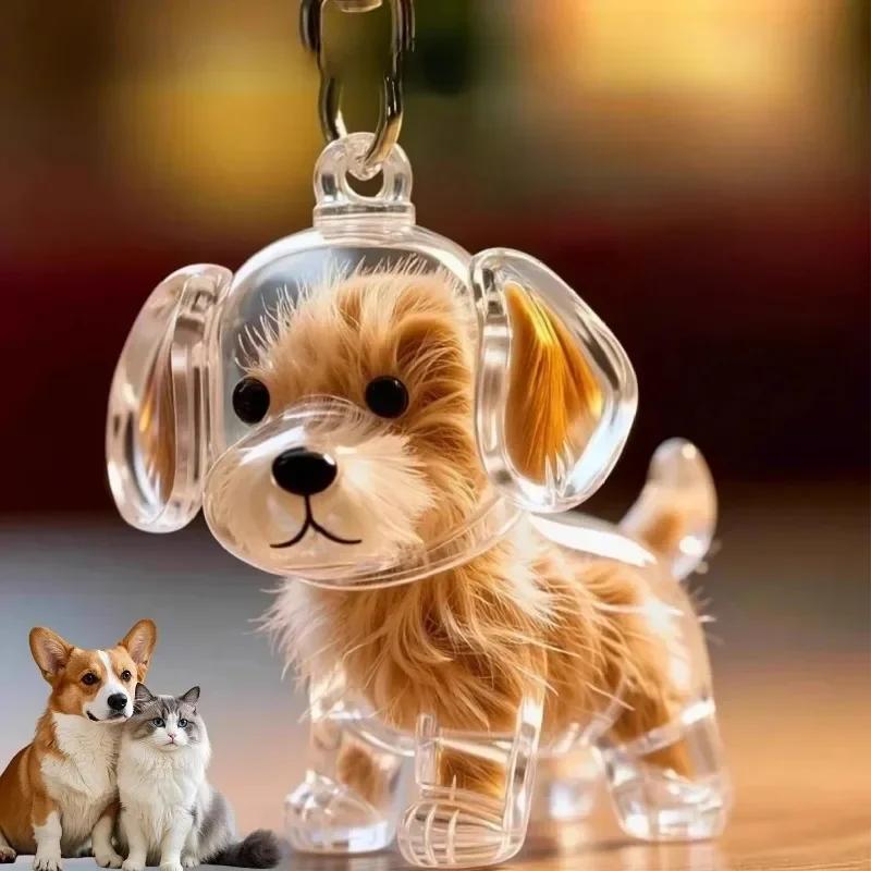 Dog Hair Storage Box Keyring Puppy Hair Memorial Keepsake Capsule Pet's Dog Fur Container Transparent Capsule Keychain Souvenirs