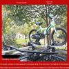 Universal Car Roof Bike Rack Crossbars for SUV/Sedan