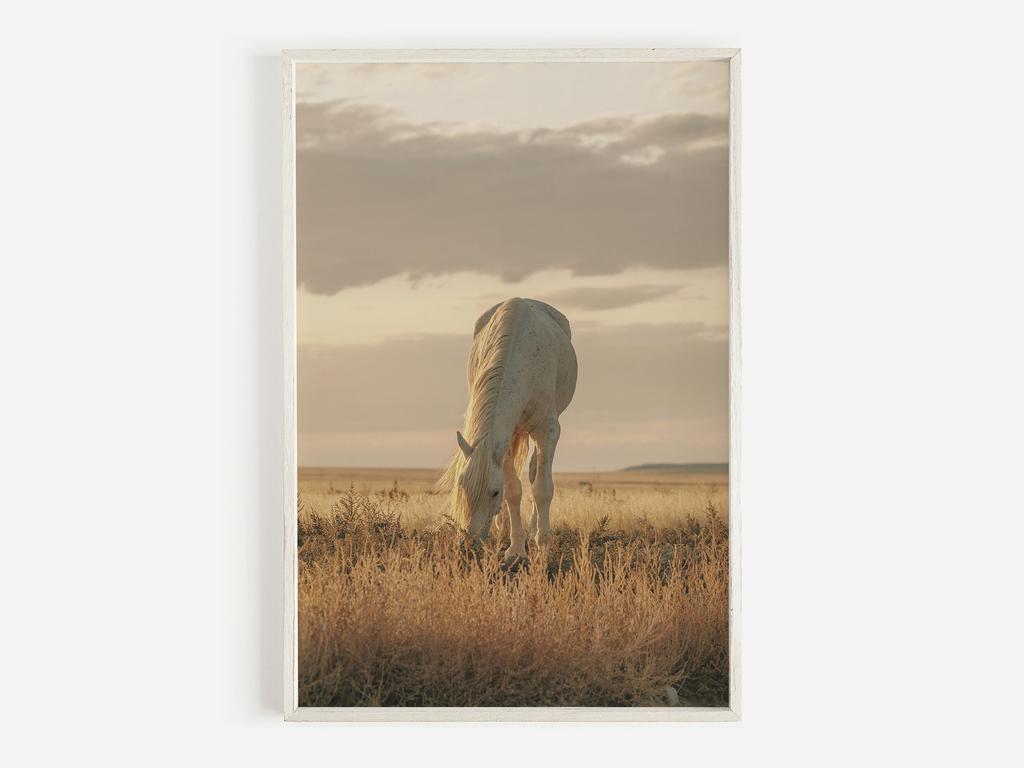 Wildlife Wall Art Western Country Rustic Print Buffalo Bull Elk Cowboy Horse Yellowstone Bison Canvas Painting Home Decor